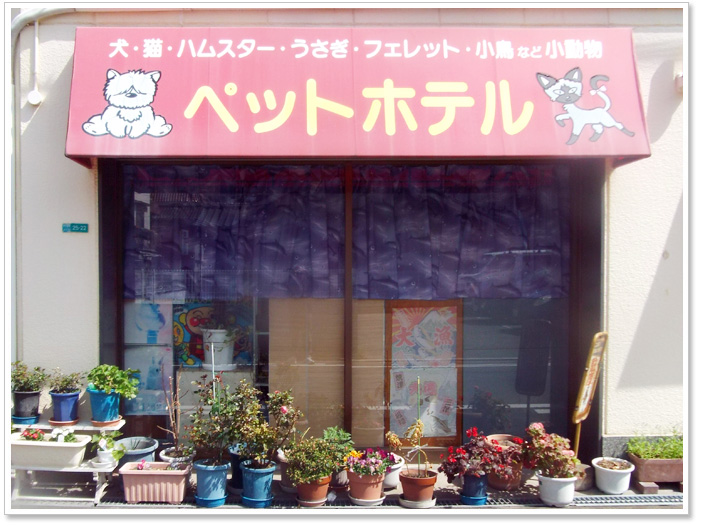 �y�b�g�̃z�e��