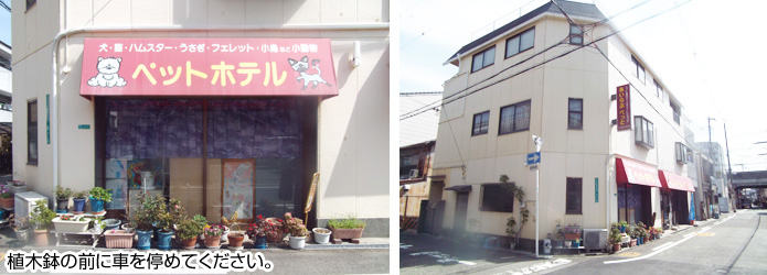 �傫�ȃQ�[�W�ł�